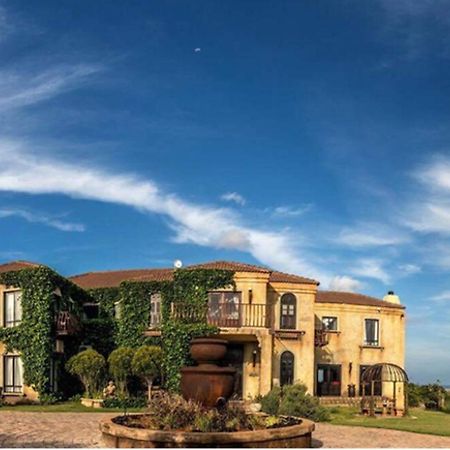 Dio Dell Amore Guest House Jeffreysbaai Buitenkant foto