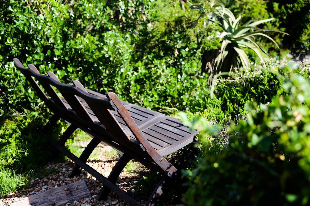 Dio Dell Amore Guest House Jeffreysbaai Buitenkant foto